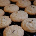 Lavender Cookies 
